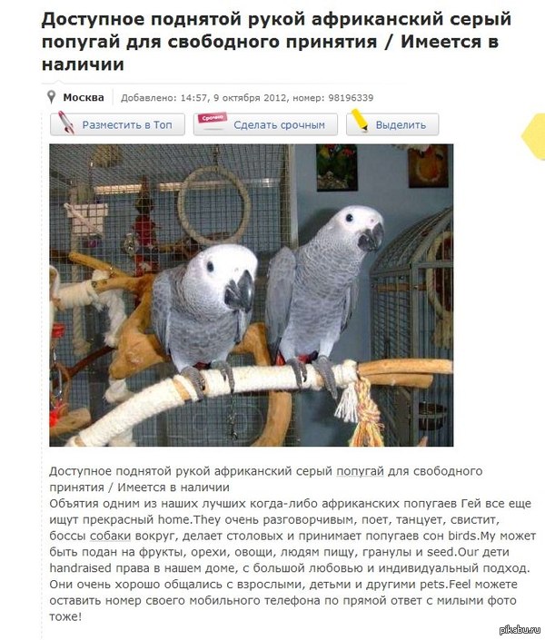 Гуглопереводчик или не совсем успешный маркетолог.