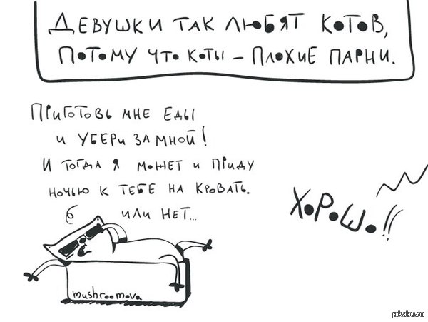 Почему девушки так любят котов