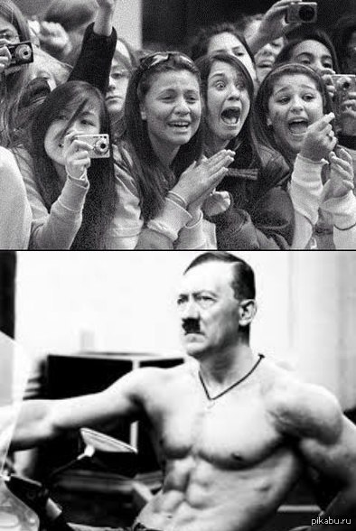 Немецкий жеребец