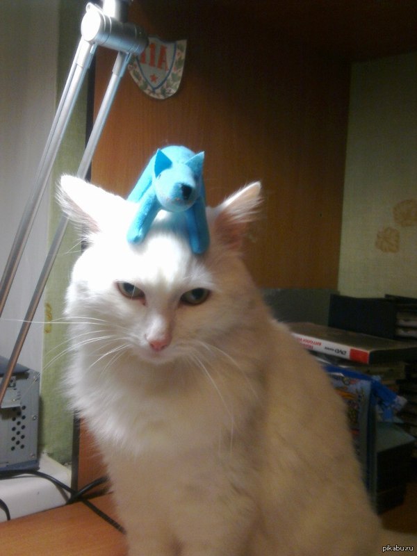 �������� � � ����� ��������. =3