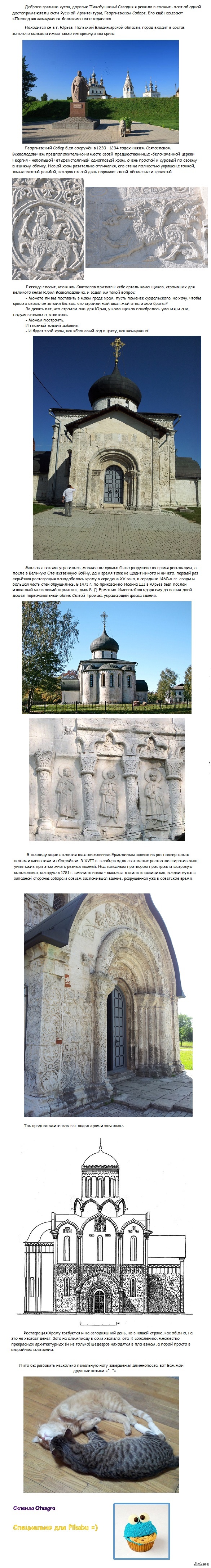 Длиннопост