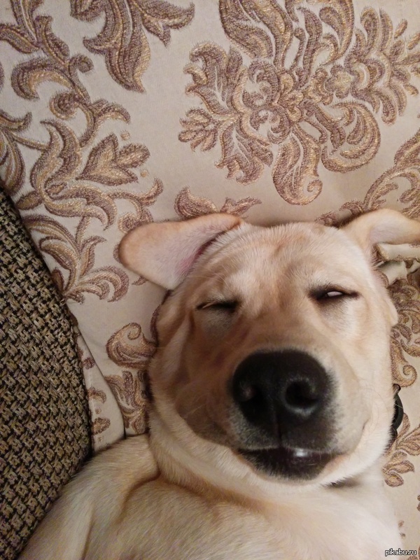 ����������� ����, ��� ������ ����� �� �����.