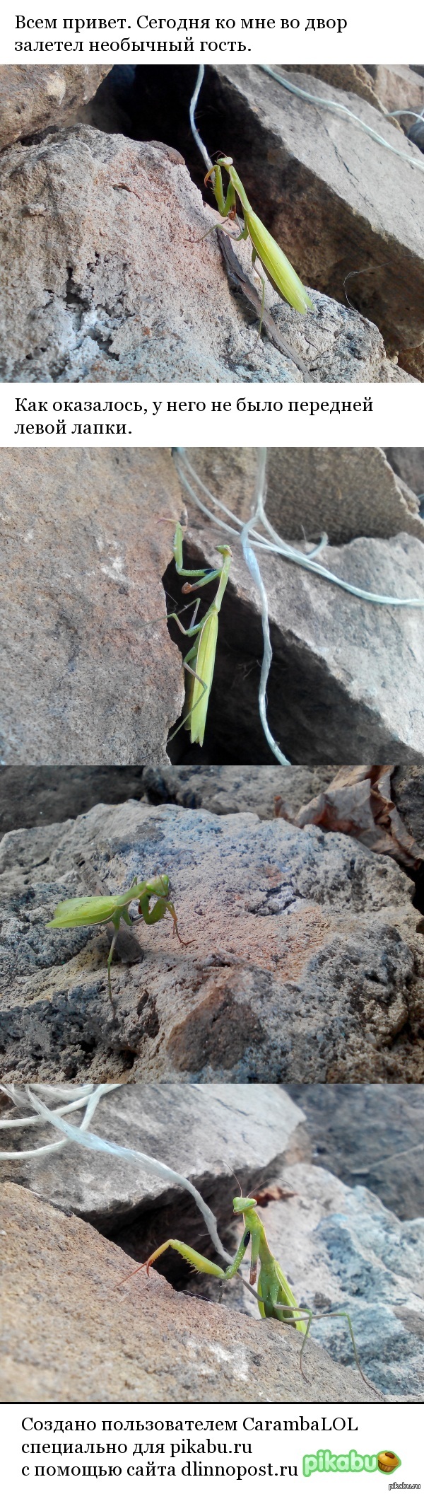 ���� ��������� ���������.