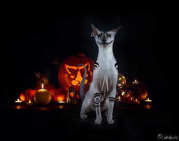 ��� ��� :)