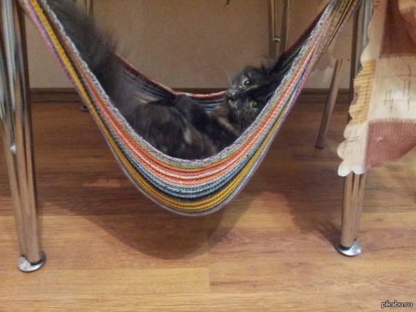 �� ��� �����, ����������!