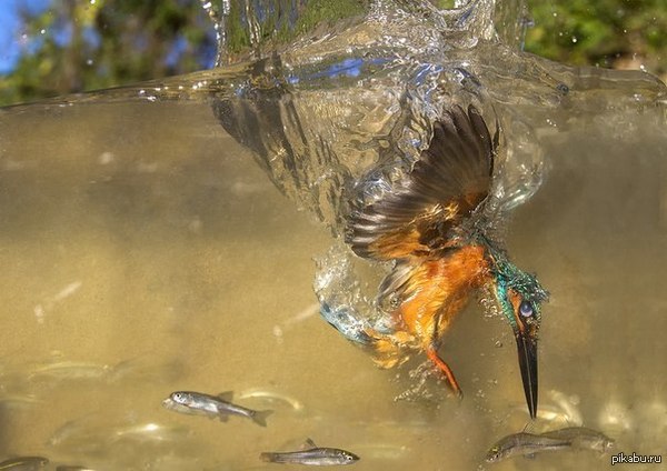 За секунду до...