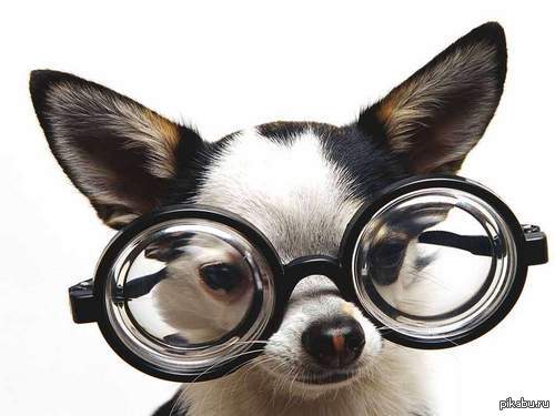 -!!!!!  !!   , *___*       !!   