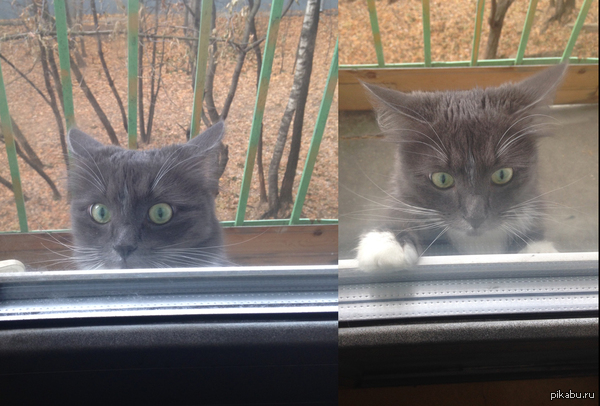 ��� � ���� ����� ��������...