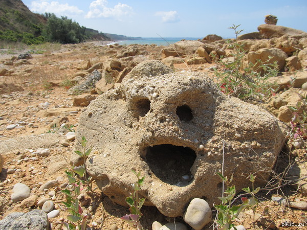 ���� ������ �����