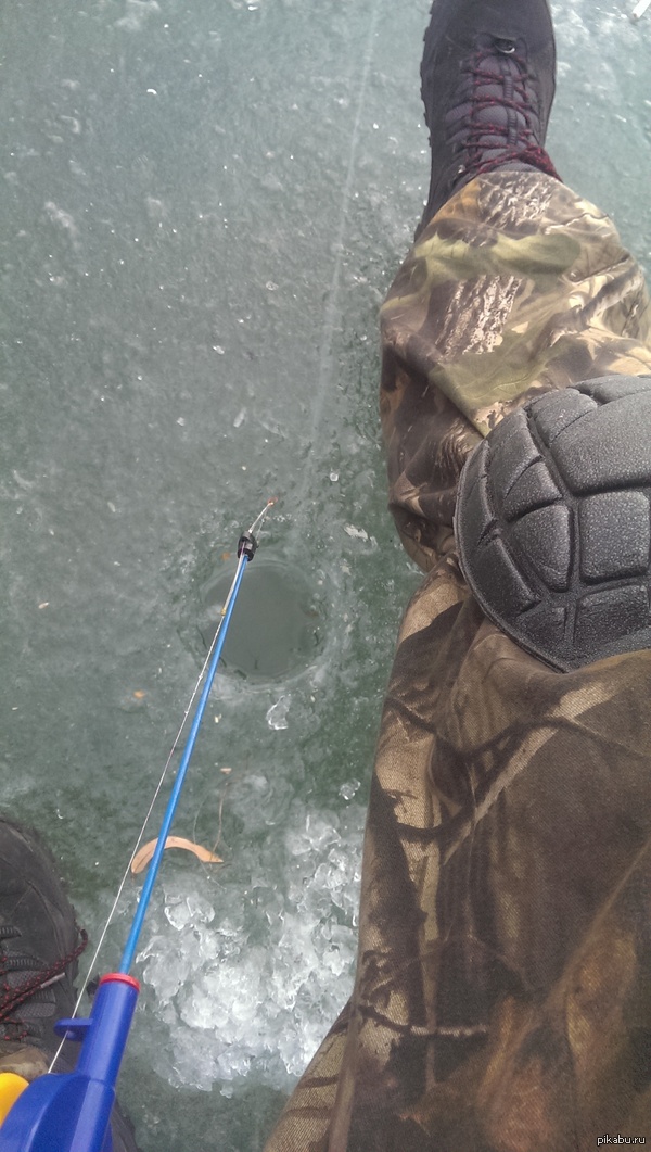 ������� �����, ����  �������