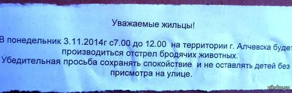 Какое-то безумие творится в городе Алчевск, Украина.