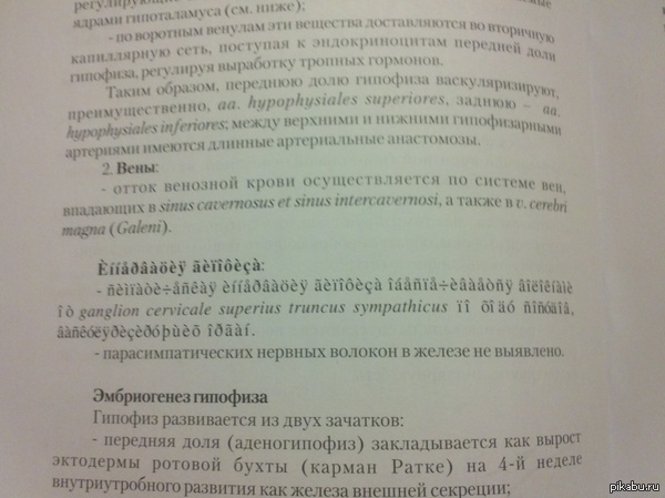 Даже мой учебник по анатомии сдался.