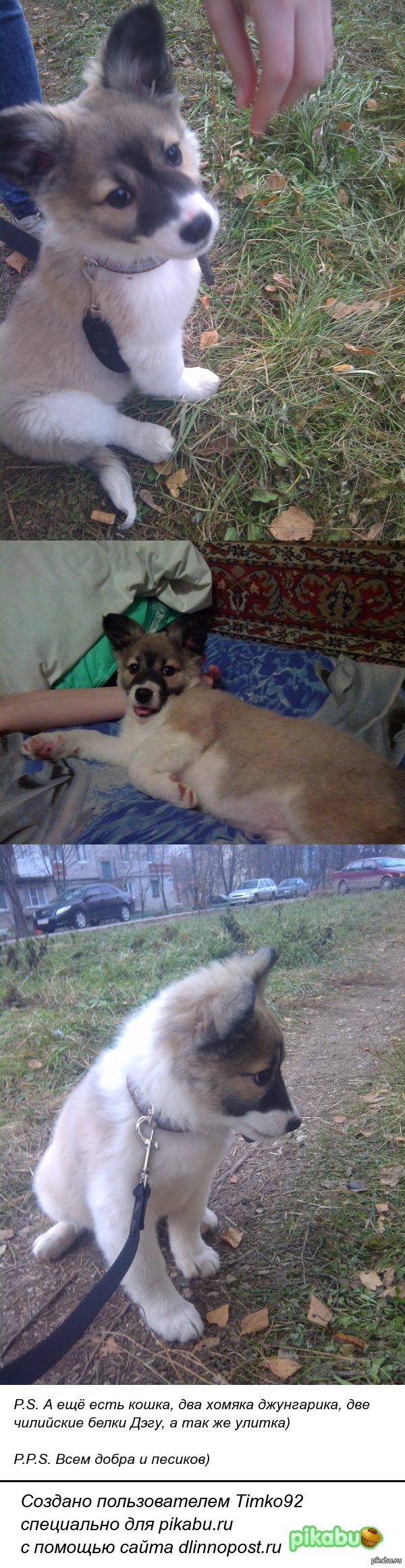 ��� ����� ������ �������� �����