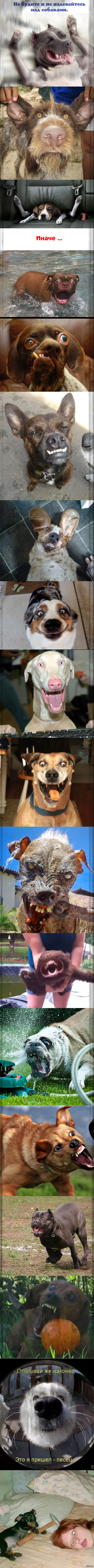 ����� �������