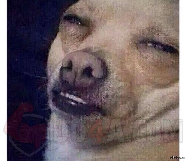 Мое лицо, когда я пытаюсь сексуально посмотреть на девушку