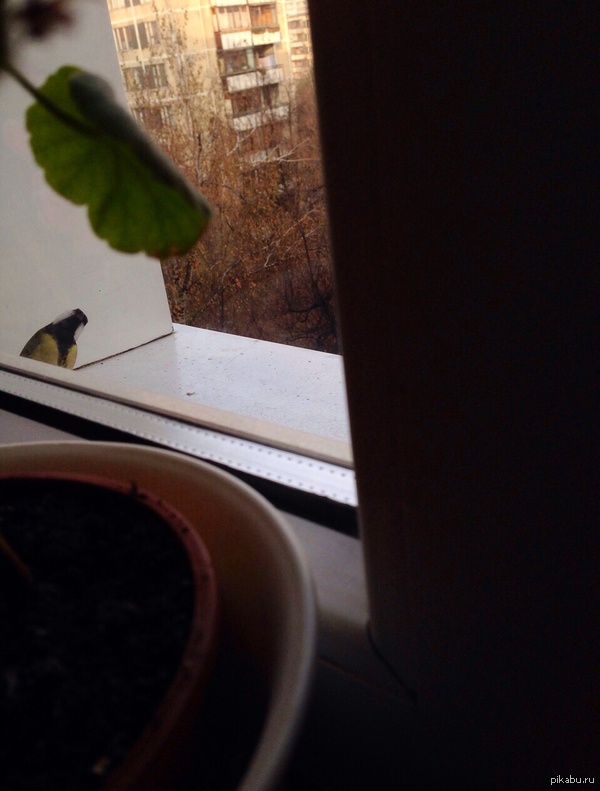 "Не найдется минутка поговорить о Боге?"