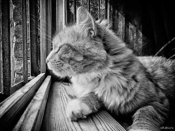 Предчувствие зимы