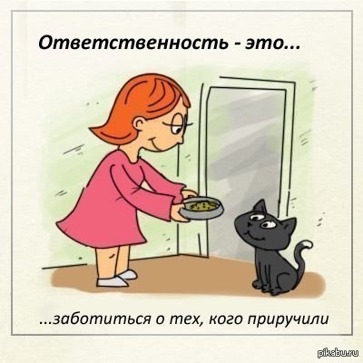 ответственность