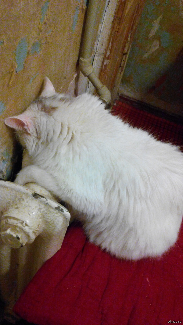 ����� � �������� �� �������� �������.