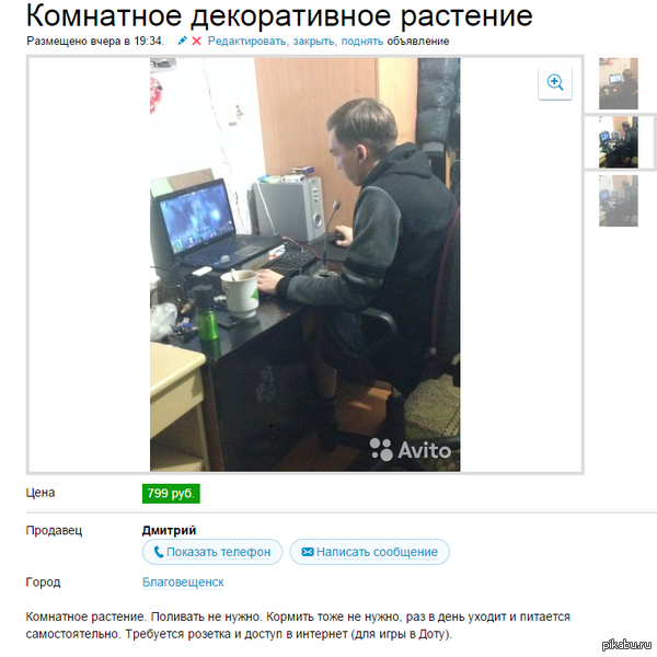 Даю объявление авито продажа бизнеса ростов-на-дон