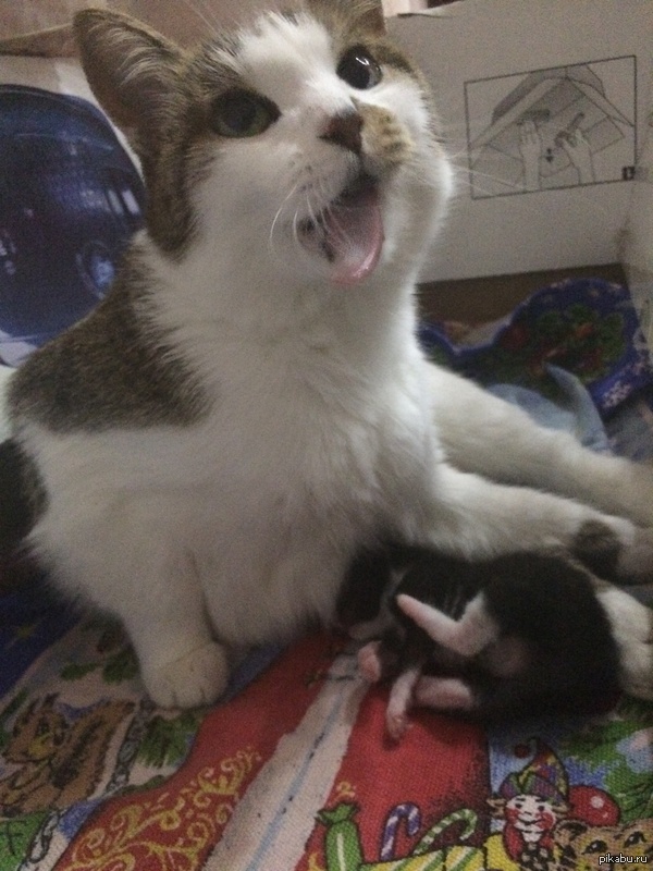      :3       ... 