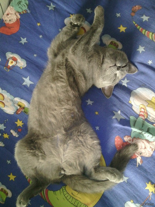 Мой первый пост