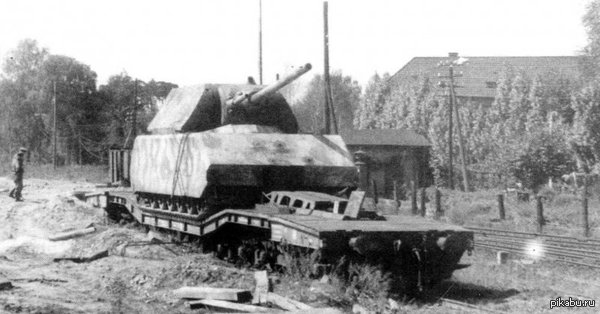   Maus      Panzerkampfwagen VIII Maus. 1945 .