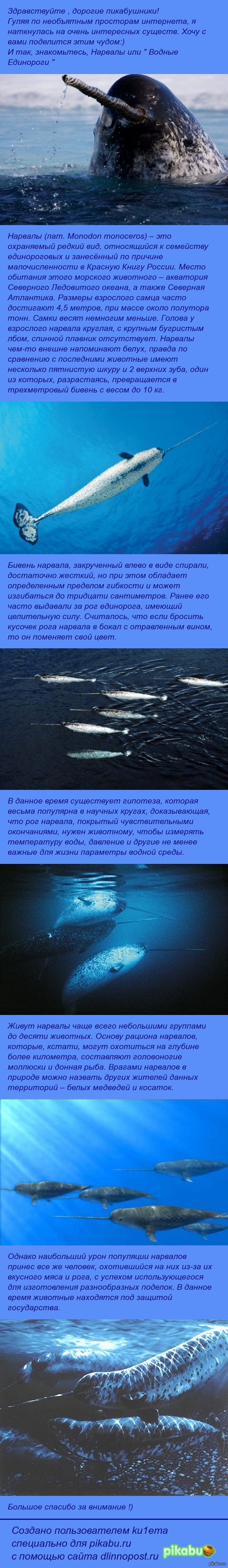 ����������� ������ �������� ����������!)