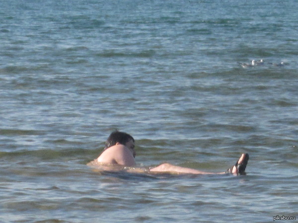    .  !    .)   ,   ,   .