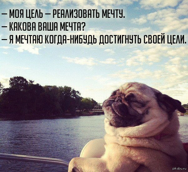 Картинки про мечту и цель
