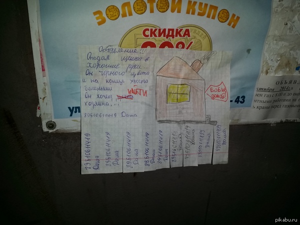 �� ���� ������ ����...