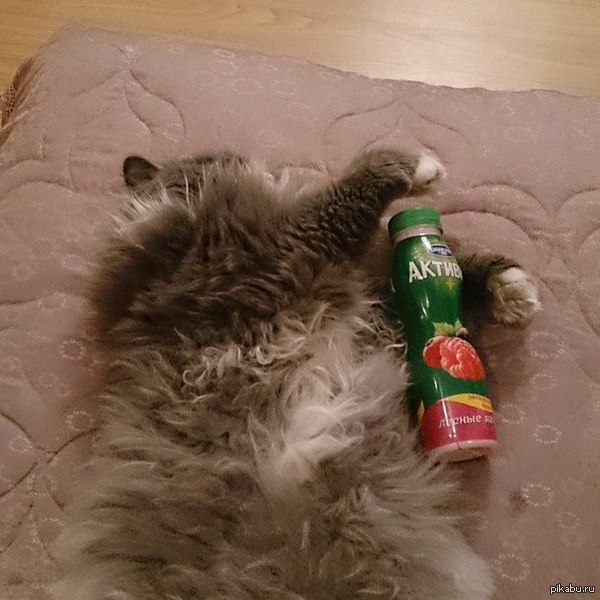 хорошие выходные