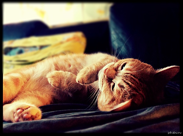  -   / ,  -    P.S. ,   