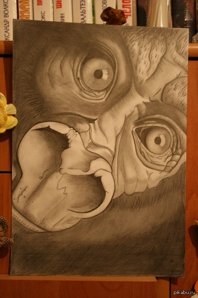 ��� ����� ��������