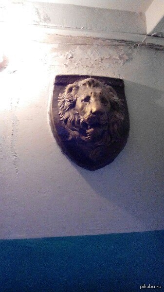 ��� ����� ��� ��������� ������ �������� ��������� ��������.