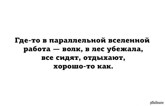 Сахком работа волк. Работа не волк в лес не убежит. Работа не волк. Работа не волк в лес не убежит приколы. Работа не волк прикол.