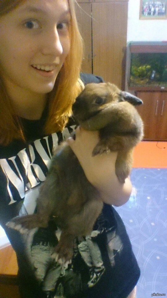 �������� �������� �� ���� �������!