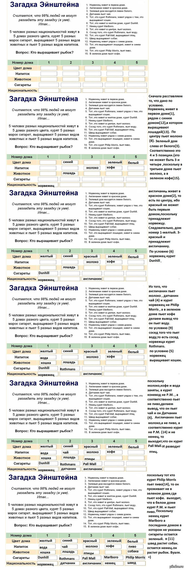 Загадка: истории из жизни, советы, новости, юмор и картинки — Лучшее |  Пикабу