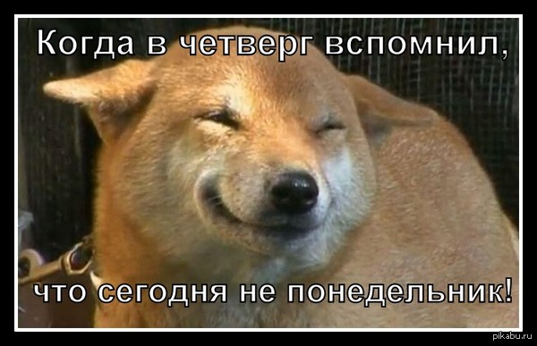 -  ...