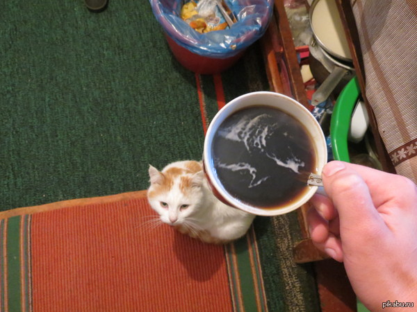 � - �������