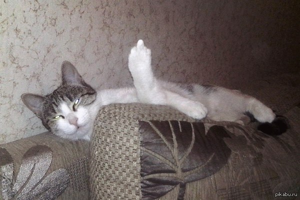 -�� ��� ����? � ��� ���� ���� ������)