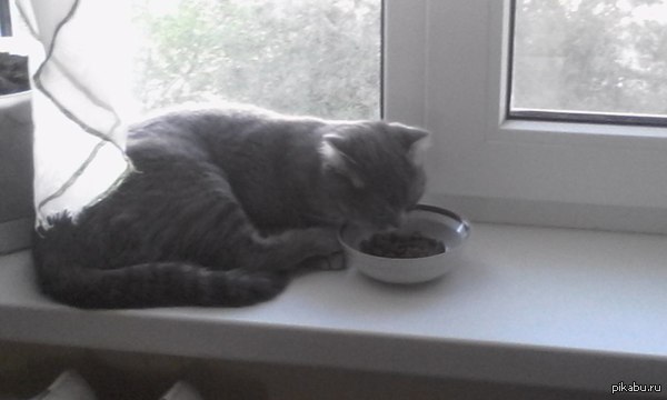 Передержка