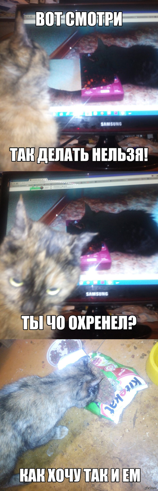 ��� � ���� ������