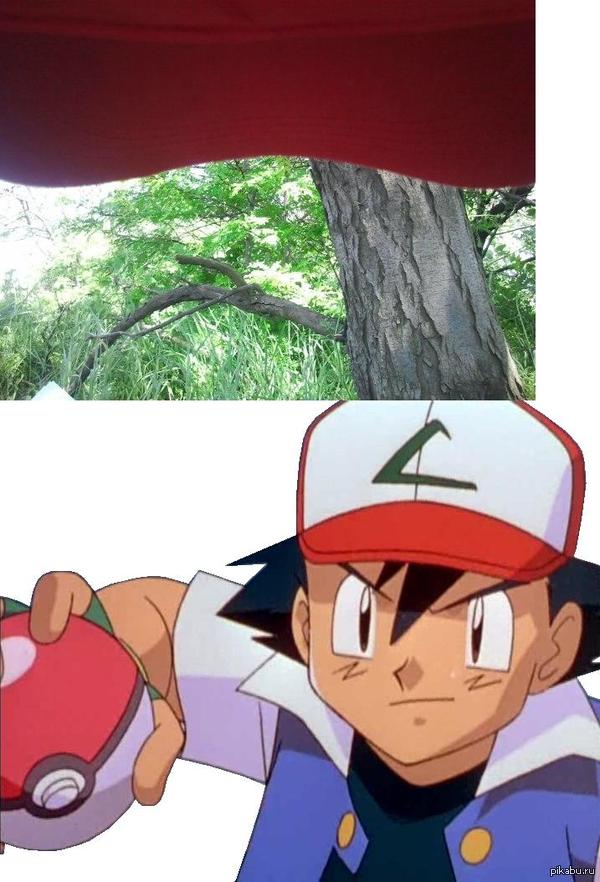 Так Эш Кетчум видит мир