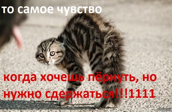 Очень часто так