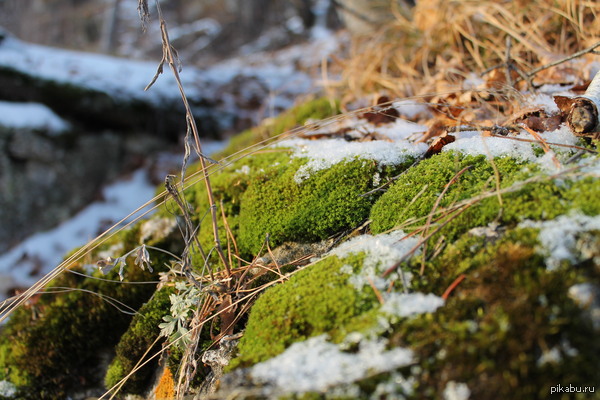 ������� ����