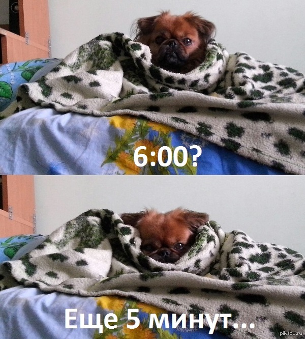 Тяжелое утро...