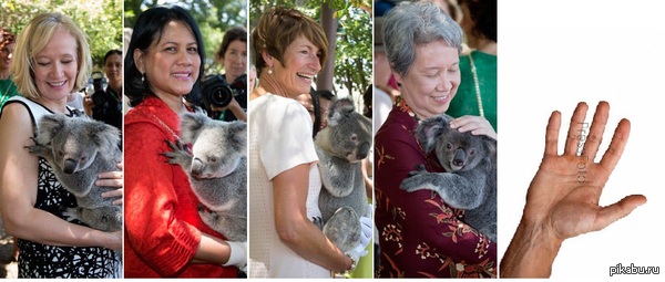 ���� ������� G20