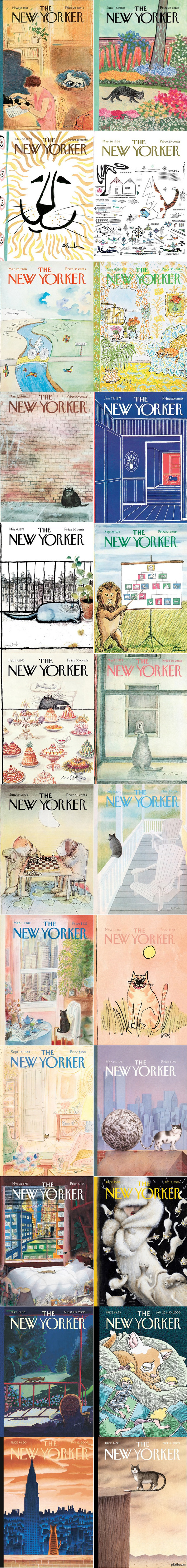    The New Yorker