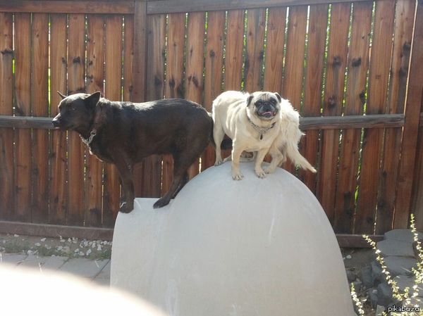 &quot;  ,         &quot;